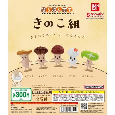 きのこ組 ならぶんです。
