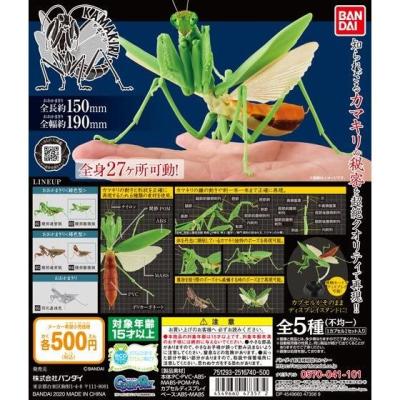 かまきり
