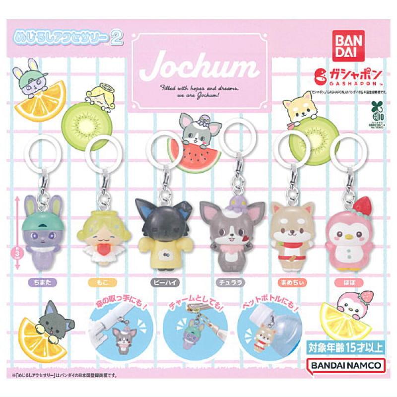 JOCHUM めじるしアクセサリー2