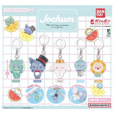JOCHUM めじるしアクセサリー1