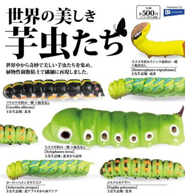 世界の美しき芋虫たち