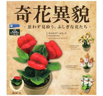 奇花異貌 思わず見紛う、ふしぎな花たち