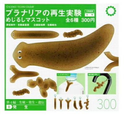 STC プラナリアの再生実験 めじるしマスコット