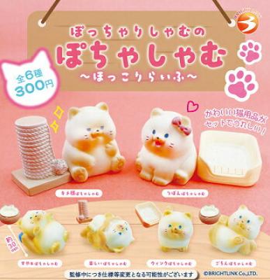 ぽちゃしゃむ のほっこりライフ