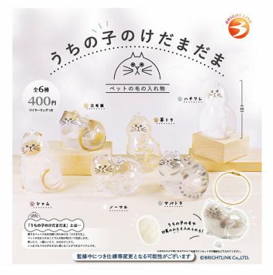 うちの子のけだまだま