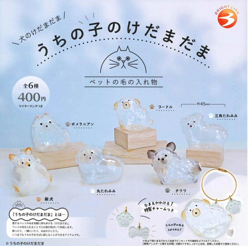 犬のけだまだま うちの子のけだまだま