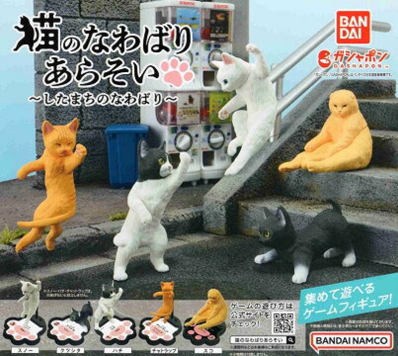 猫のなわばりあらそい したまちのなわばり