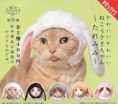 かわいい かわいい ねこうさぎちゃん ～たれみみ～