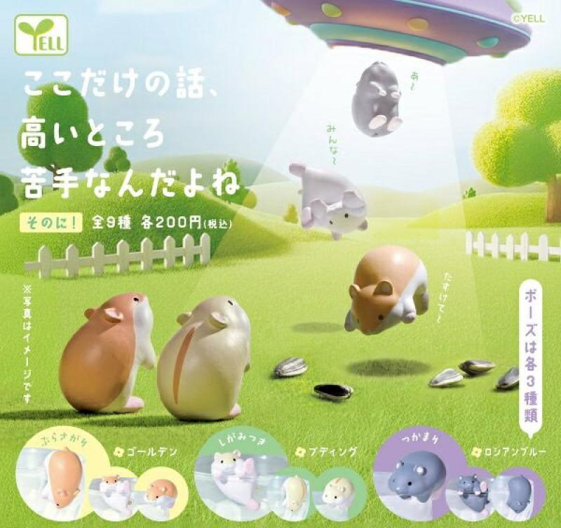 ここだけの話、高いところ苦手なんだよね そのに！