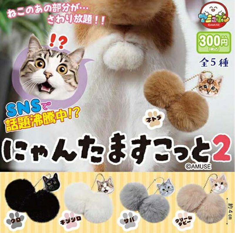 にゃんたますこっと2