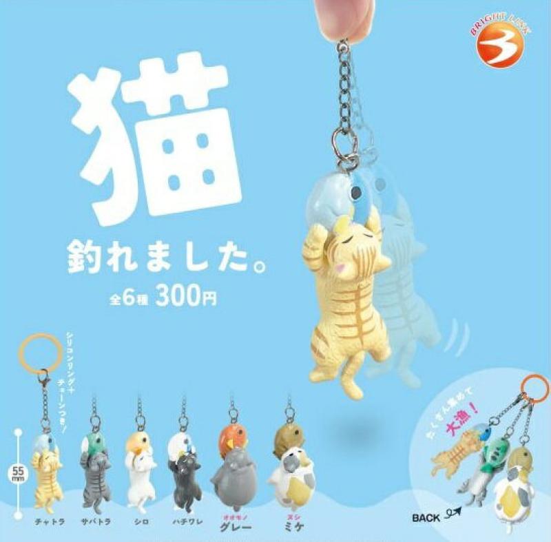 猫釣れました。