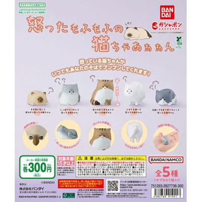 怒ったもふもふの猫ちゃあぁぁん