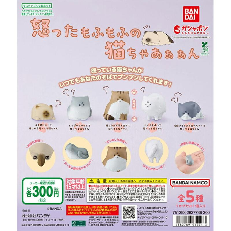 怒ったもふもふの猫ちゃあぁぁん