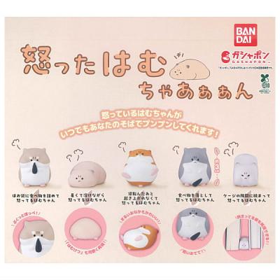 怒ったはむちゃあぁぁん