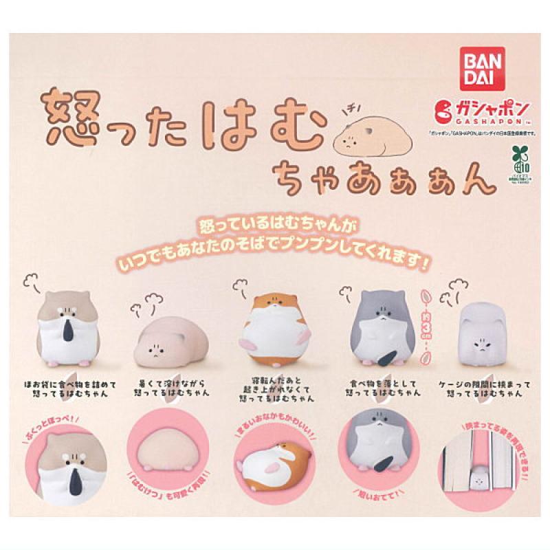 怒ったはむちゃあぁぁん