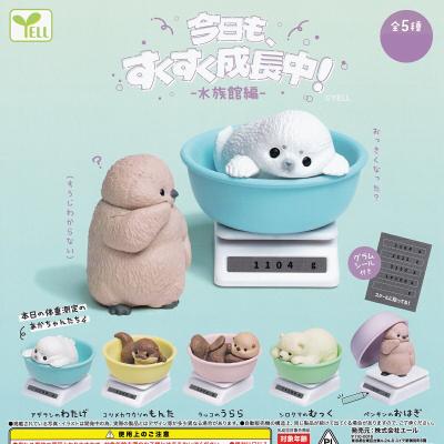 今日も、すくすく成長中 水族館編