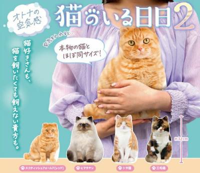 オトナの空気感 猫のいる日日2