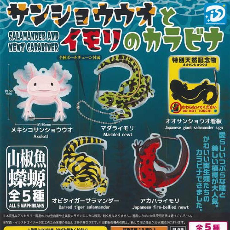 サンショウウオ と イモリ の カラビナ