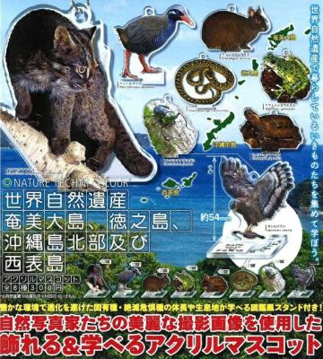 NTC 世界自然遺産奄美大島、徳之島、沖縄島本部及び西表島 アクリルマスコット