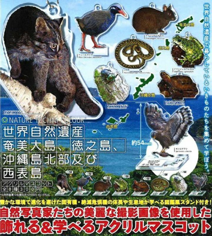 NTC 世界自然遺産奄美大島、徳之島、沖縄島本部及び西表島 アクリルマスコット