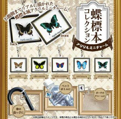 蝶標本コレクション アクリルミニチャーム