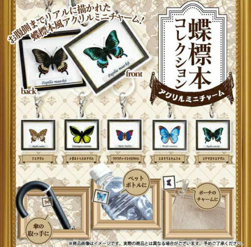 蝶標本コレクション アクリルミニチャーム