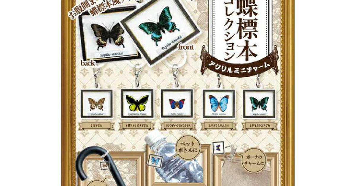 蝶標本コレクション アクリルミニチャーム - がちゃなび