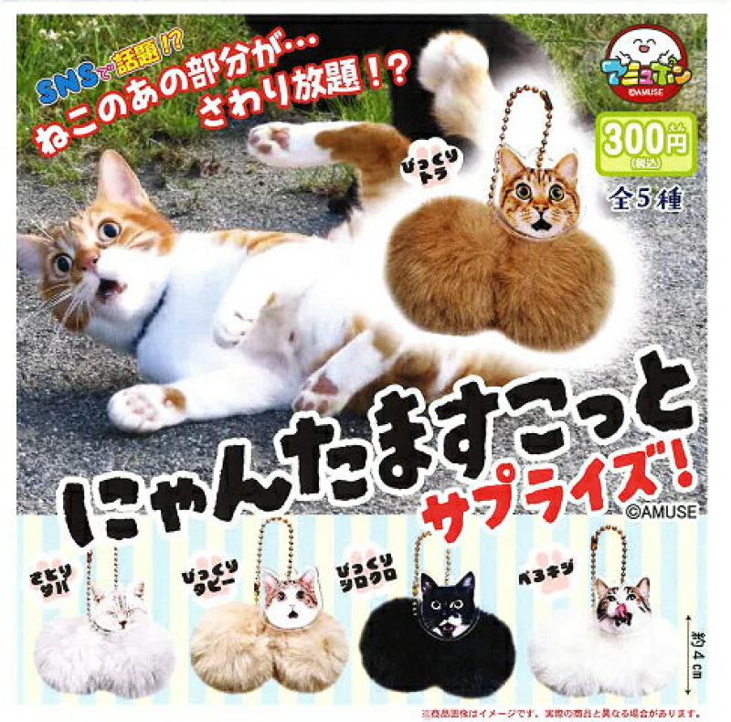 にゃんたますこっと サプライズ