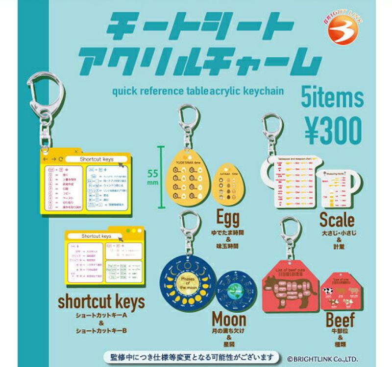 チートシート アクリルチャーム