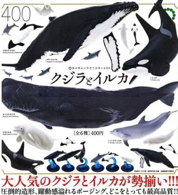 NTC400 クジラとイルカ