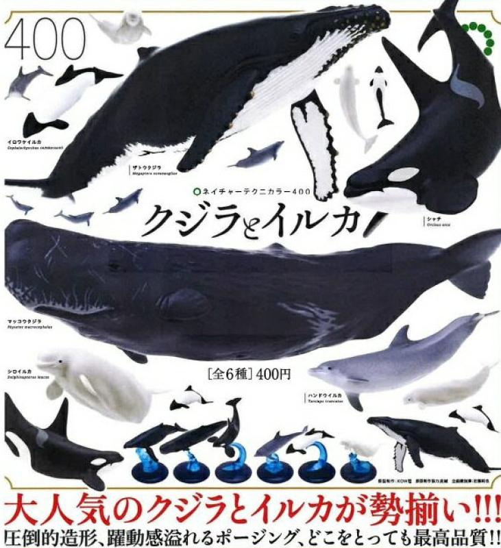 NTC400 クジラとイルカ