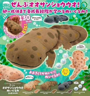こたオオサンショウウオぬいぐるみ