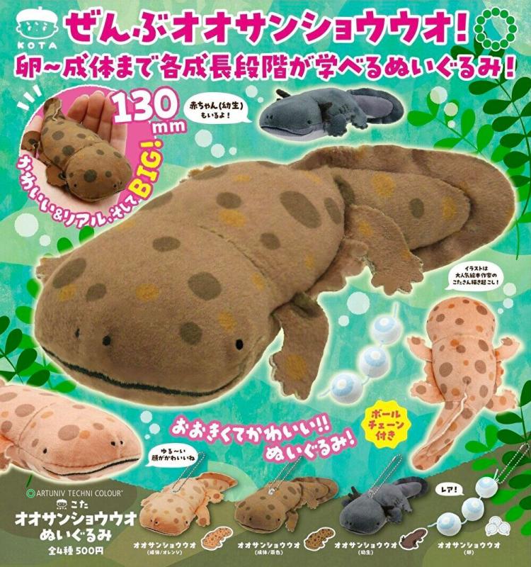 こたオオサンショウウオぬいぐるみ