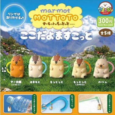 マーモットのもっとっと ここだよますこっと