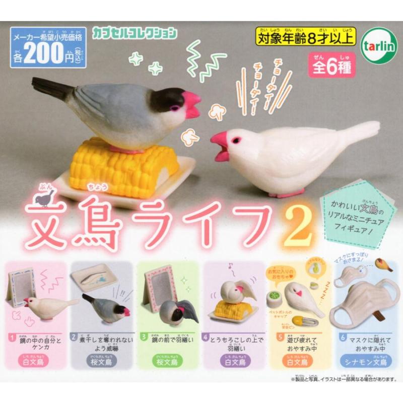文鳥ライフ2