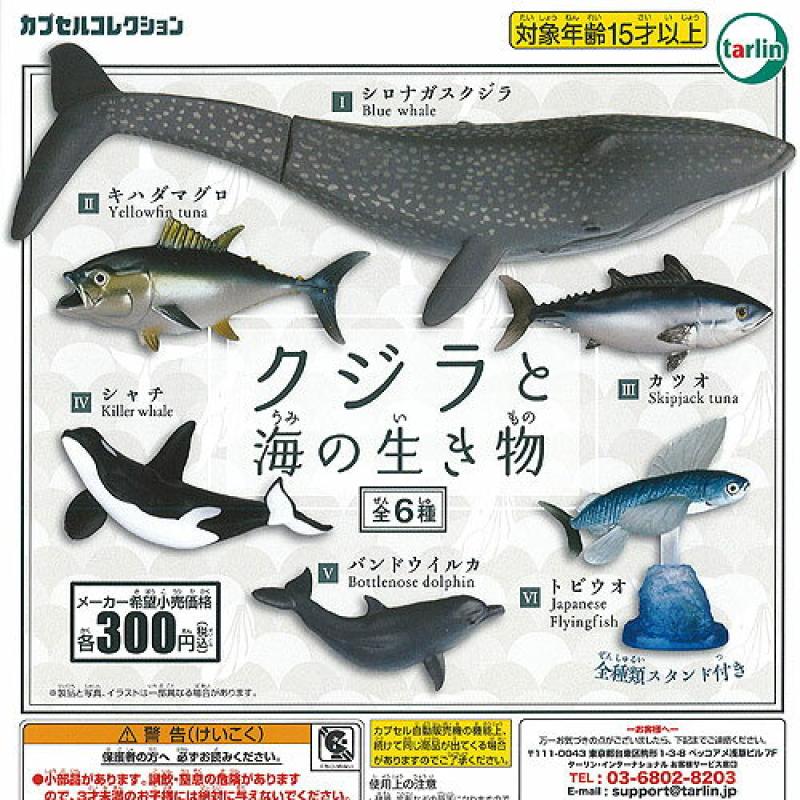 クジラ と海の 生き物