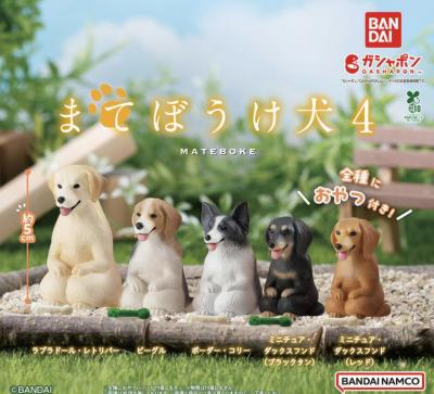まてぼうけ犬4