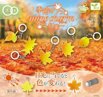 季節のmineチャーム 〜紅葉〜