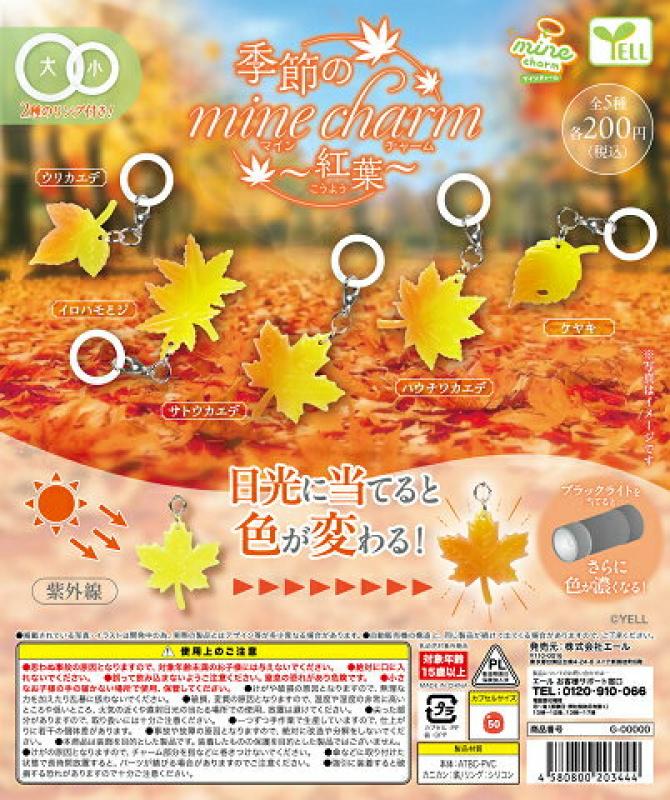 季節のマインチャーム 紅葉