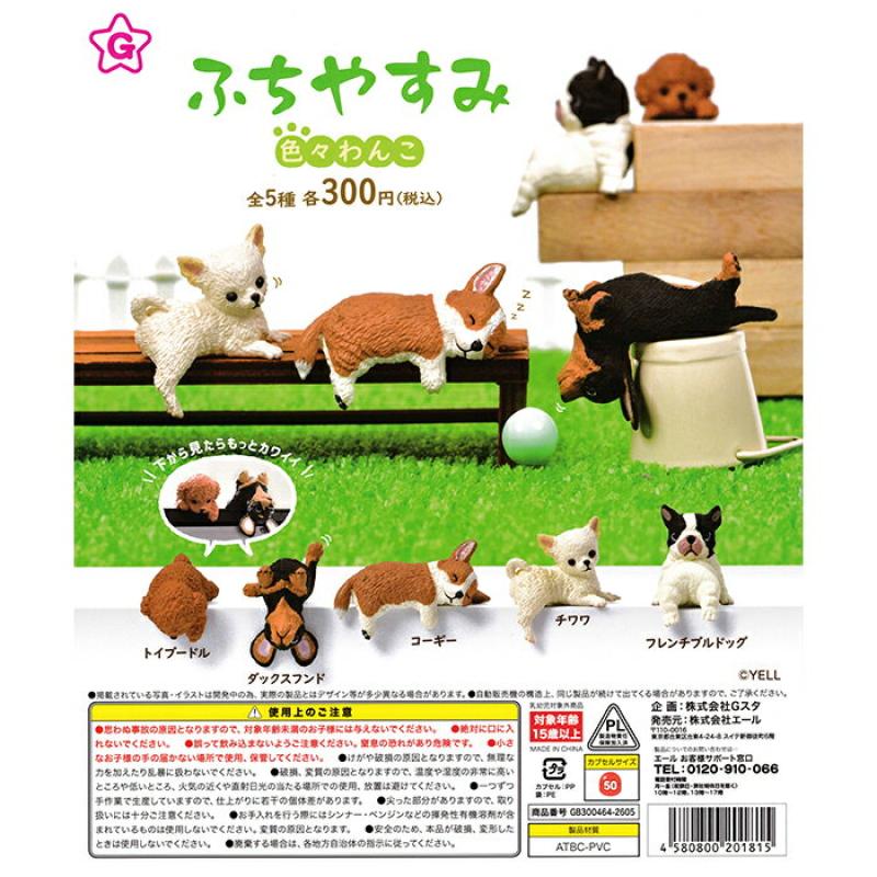 ふちやすみ 色々わんこ