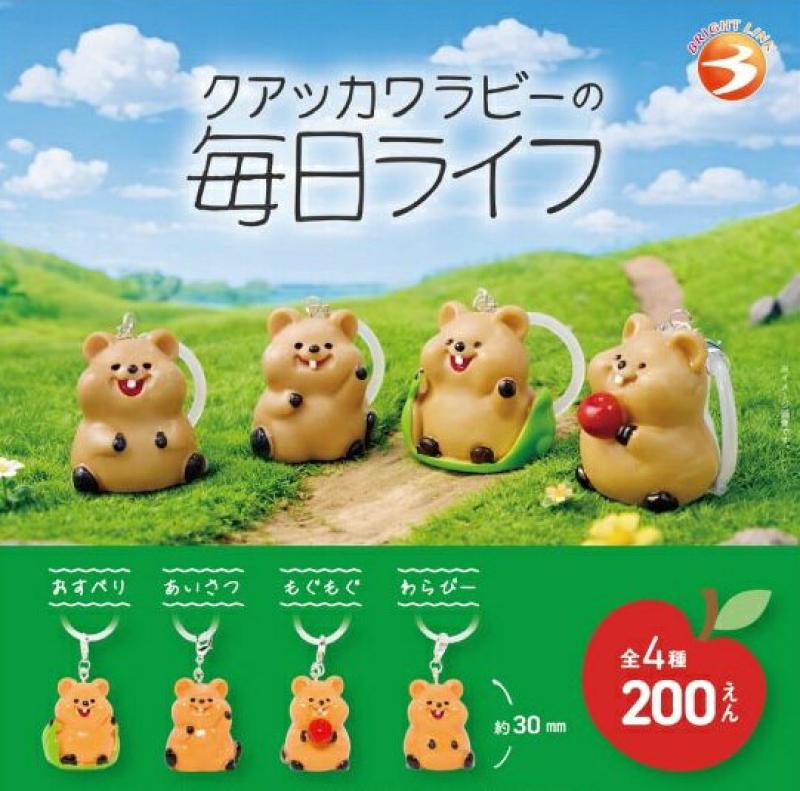 クアッカワラビーの毎日ライフ