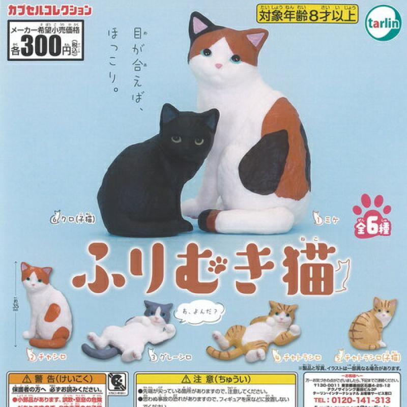 ふりむき 猫