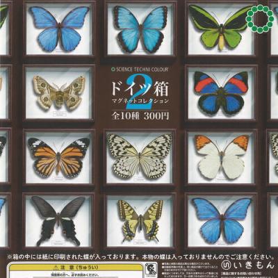 サイエンステクニカラー ドイツ箱 マグネット コレクション 2