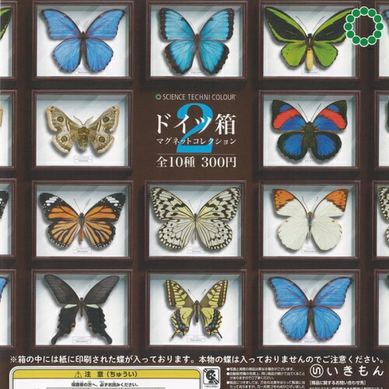 サイエンステクニカラー ドイツ箱 マグネット コレクション 2