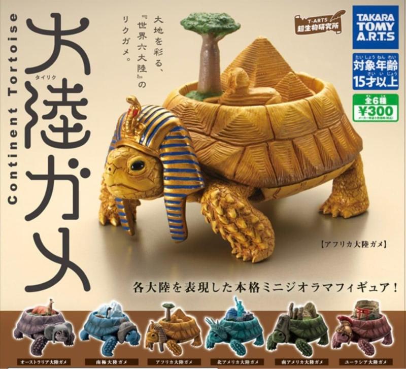 大陸ガメ タイリクガメ