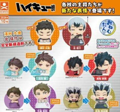 おねむたん ハイキュー スペシャルリミックス主将編