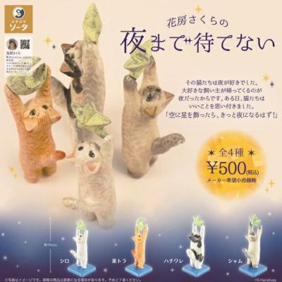 花房さくらの夜まで待てない
