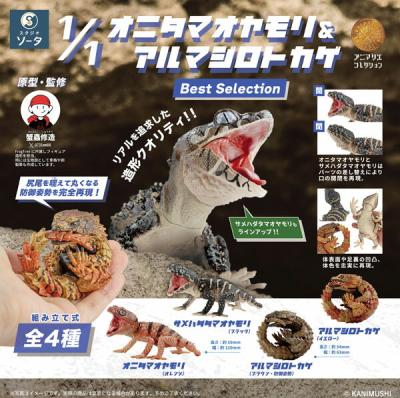 1/1 オニタマオヤモリ ＆ アルマジロトカゲ