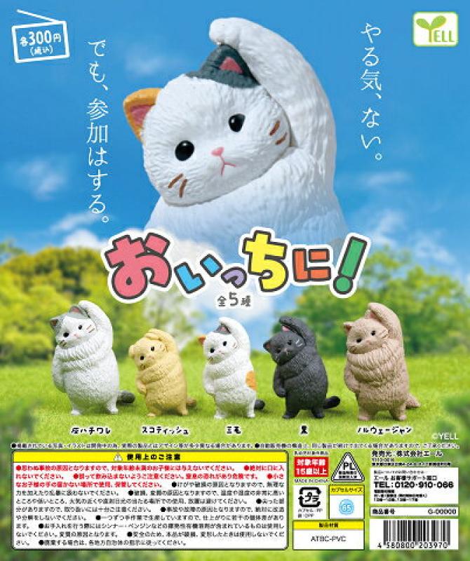おいっちに！