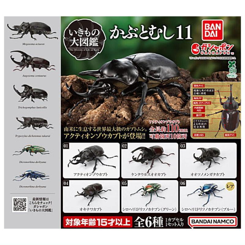 いきもの大図鑑 かぶとむし11